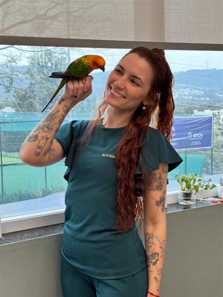 Monica Buoso, médica-veterinária, em atendimento no consultório